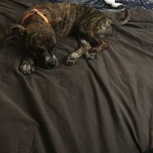 Meet your Posher, Mickelle